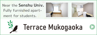 Terrace Mukogaoka